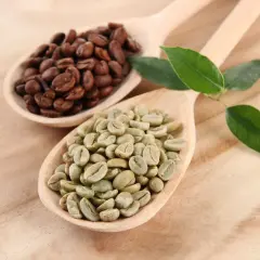 Caffè verde e tostato su cucchiai di legno, con foglie verdi. Scopri le proprietà del caffè verde.