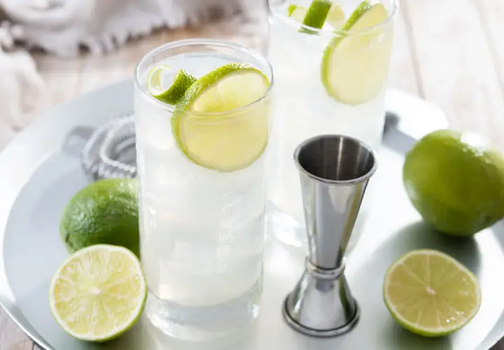 Due cocktail fizz rinfrescanti con fette di lime e ghiaccio, pronti per essere gustati.