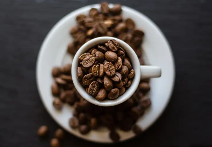 Chicchi di caffè tostati in una tazzina bianca, pronti per la tua **caffeina pre workout**. Un'esplosione di energia naturale.