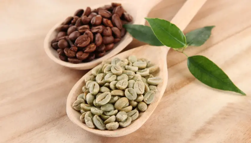 Caffè verde e tostato su cucchiai di legno, con foglie verdi. Scopri le proprietà del caffè verde.