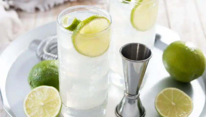 Due cocktail fizz rinfrescanti con fette di lime e ghiaccio, pronti per essere gustati.
