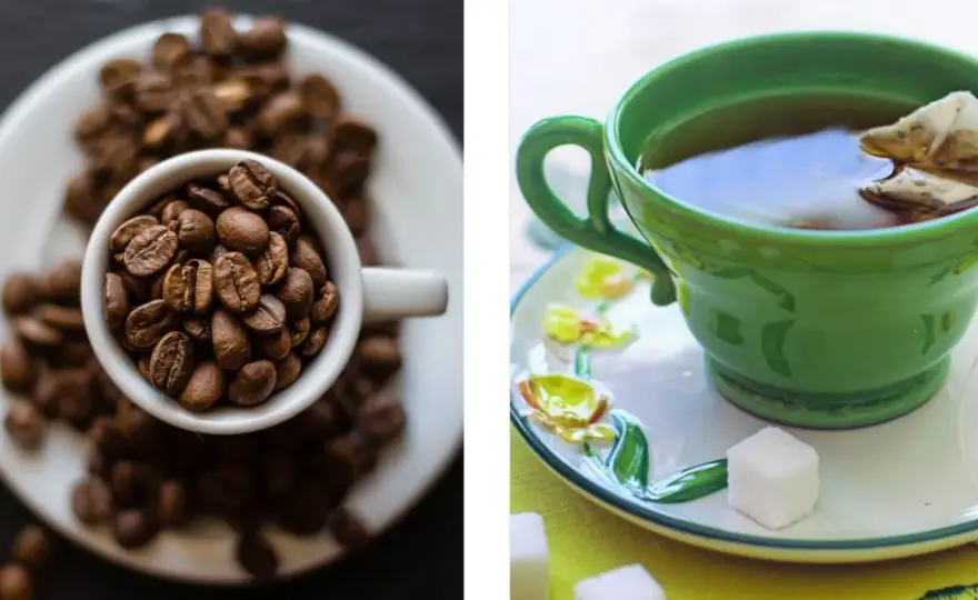 Teina e Caffeina sono la Stessa Cosa? La Verità su Tè e Caffè