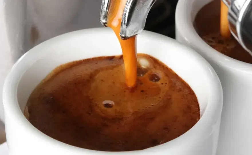 Caffè perfetto - Guida completa per un'estrazione impeccabile