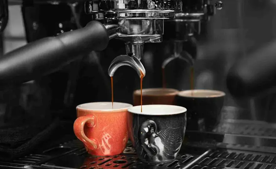Decalcificare macchina caffè - Acido citrico: la guida definitiva