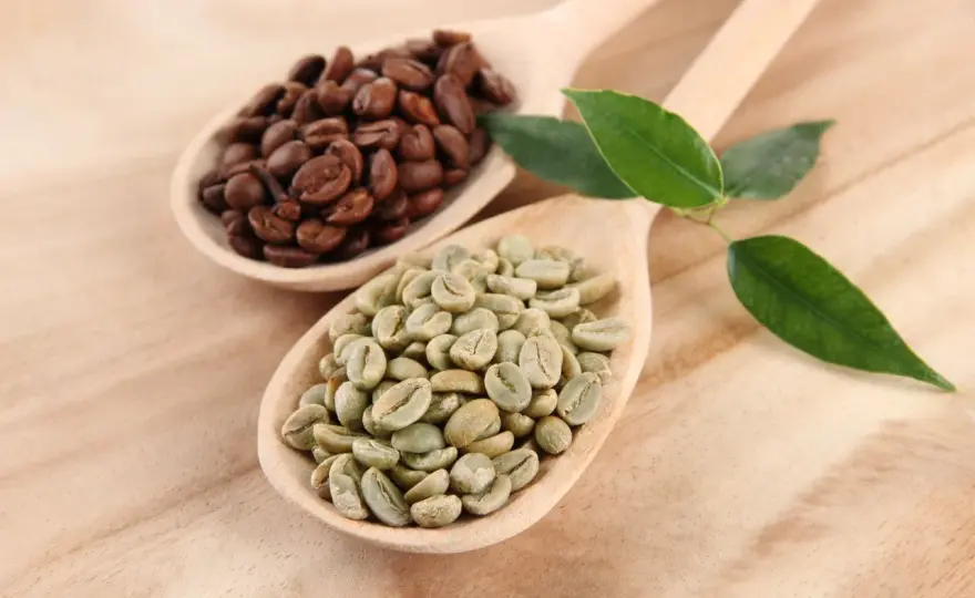 Caffè Verde - Benefici, Caffeina e Usi: La Guida Completa