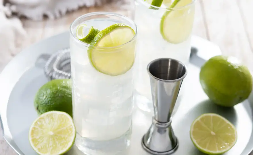 Cocktail Fizz - Guida completa per un drink perfetto