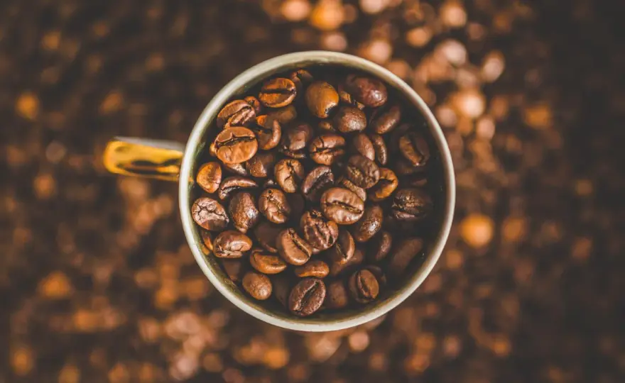 Il caffè fa passare la fame? La verità su caffeina e appetito