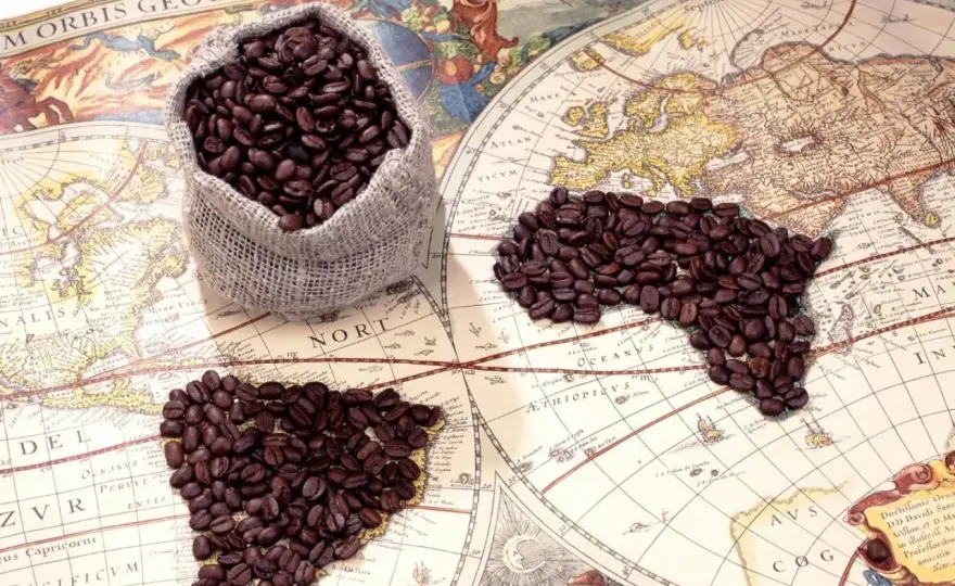 Chi ha inventato il caffè? La vera storia oltre Kaldi