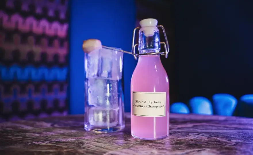 Shrub cocktail - Guida completa a tecnica, dosi e abbinamenti