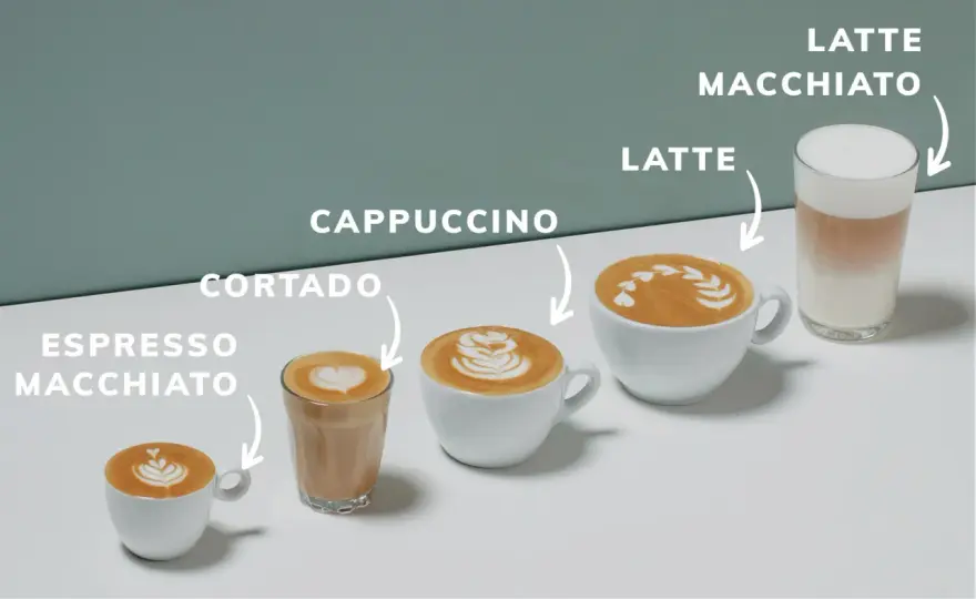 Caffè Macchiato - La guida per riconoscerlo e prepararlo bene