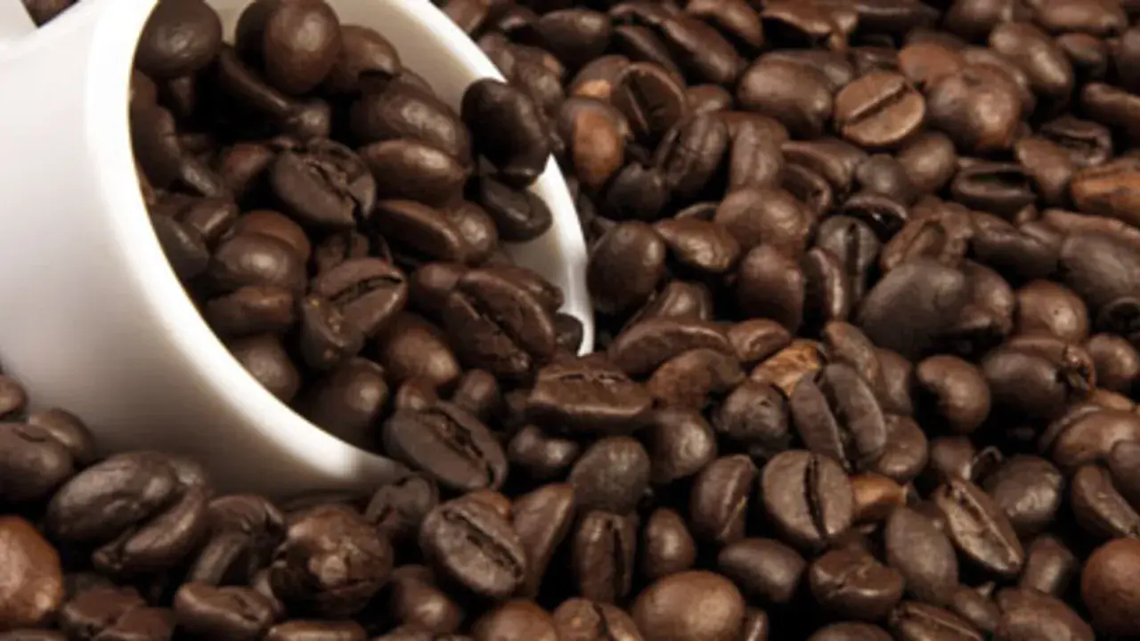 Chicchi di caffè tostati, una tazza bianca rovesciata. La caffeina, una droga che risveglia i sensi.