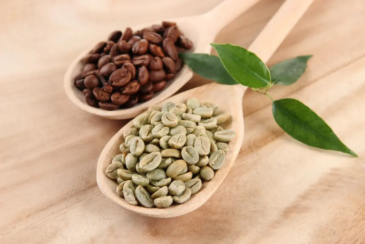 Caffè verde e tostato su cucchiai di legno, con foglie verdi. Scopri le proprietà del caffè verde.