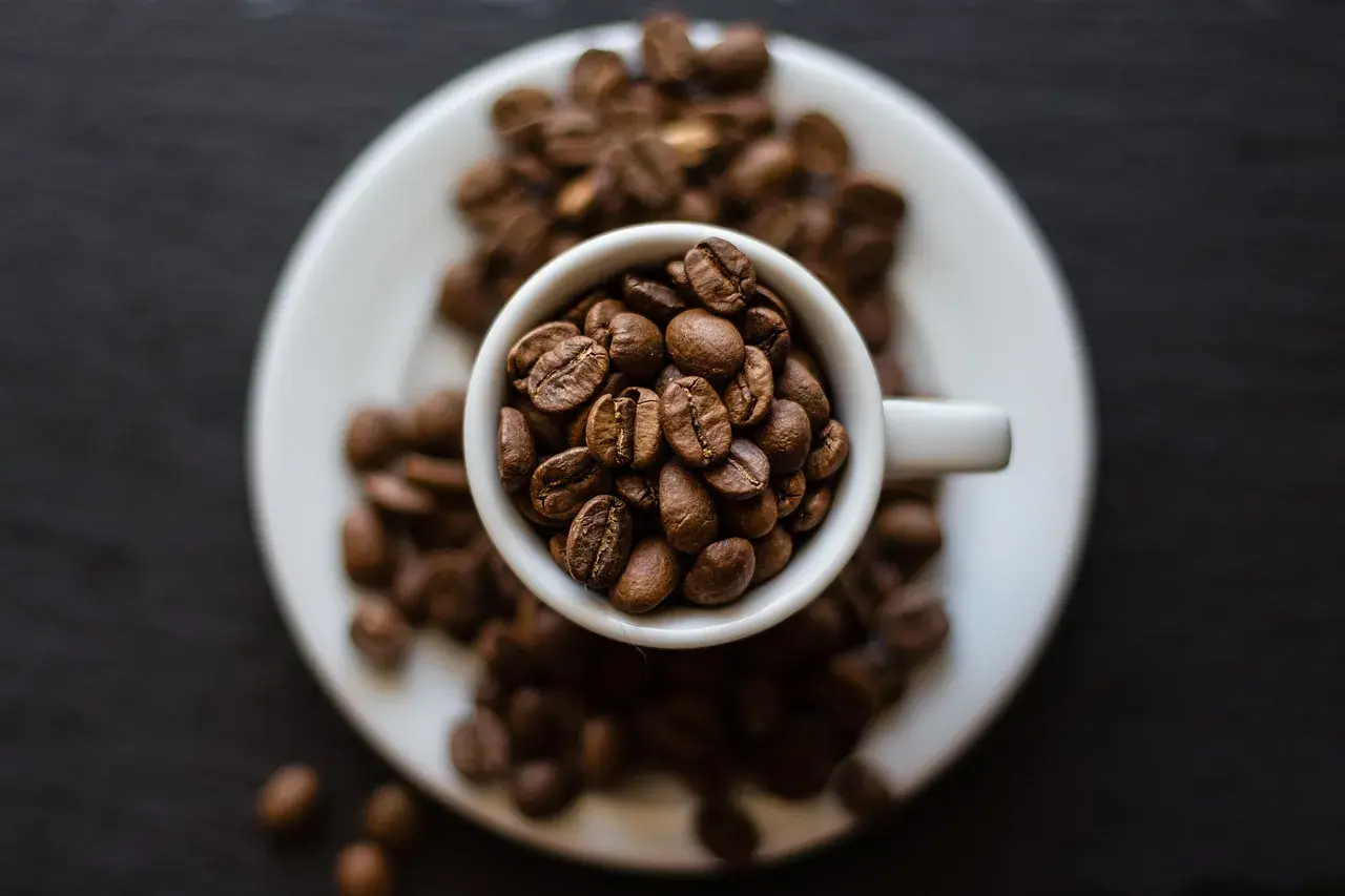 Chicchi di caffè tostati in una tazzina bianca, pronti per la tua **caffeina pre workout**. Un'esplosione di energia naturale.