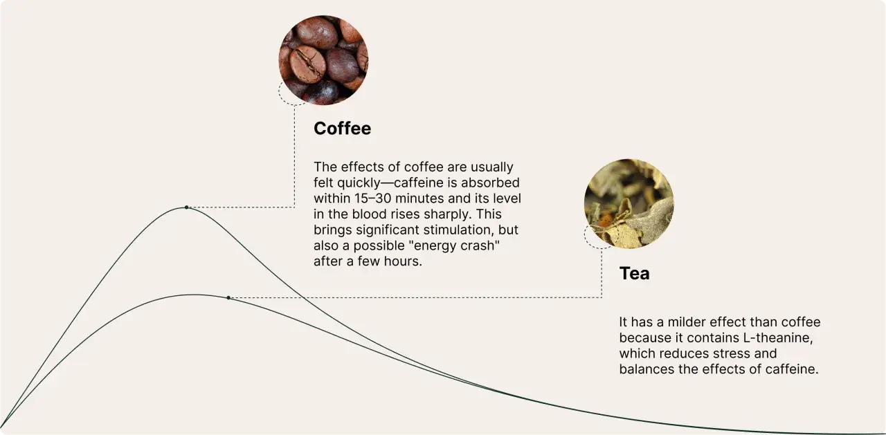Grafico che confronta gli effetti del caff&egrave; e del t&egrave;. Il caff&egrave;, ricco di caffeina, offre uno stimolo rapido ma anche un possibile calo di energia.