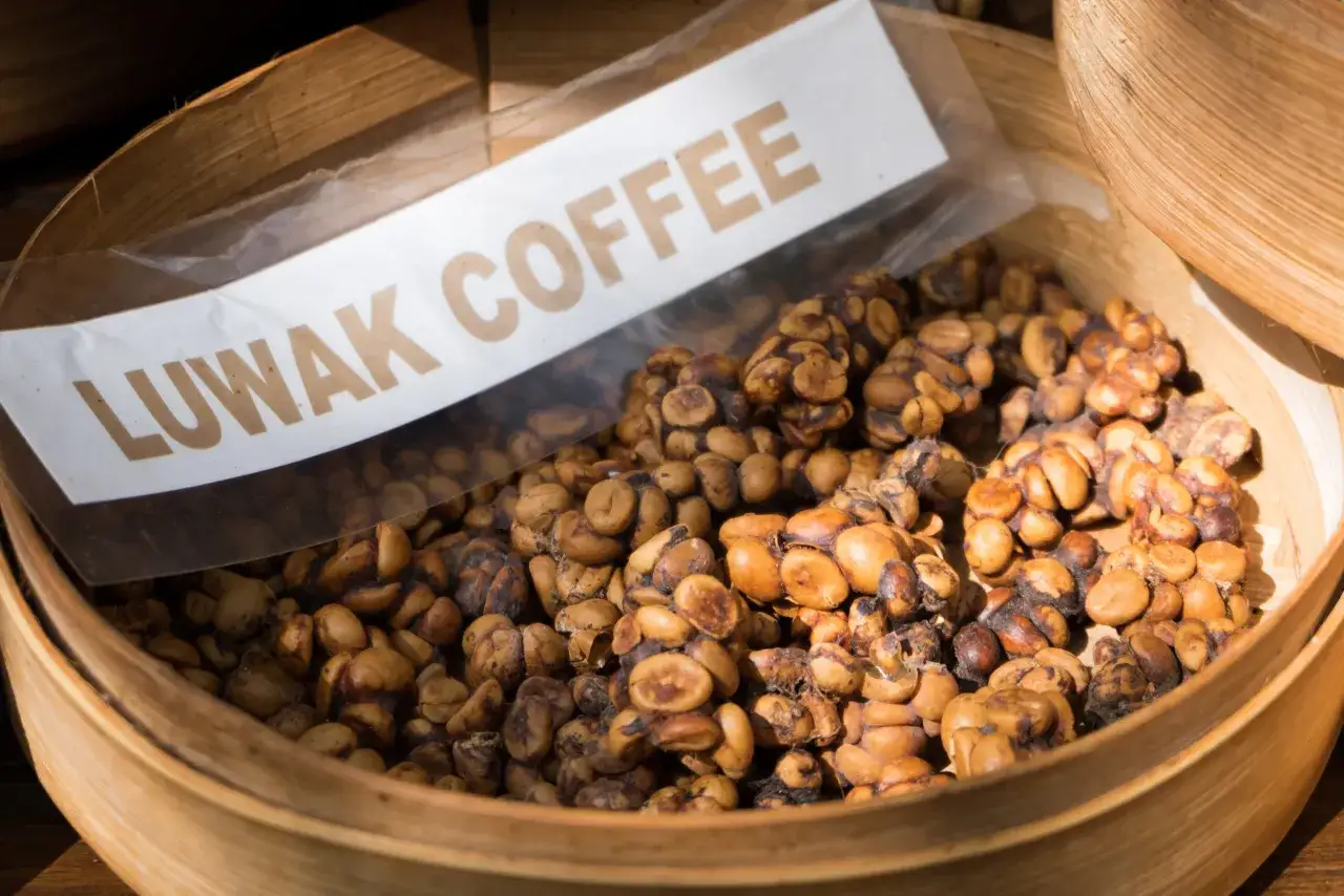 Chicchi di caffè luwak tostati in un cesto di bambù, pronti per essere gustati.