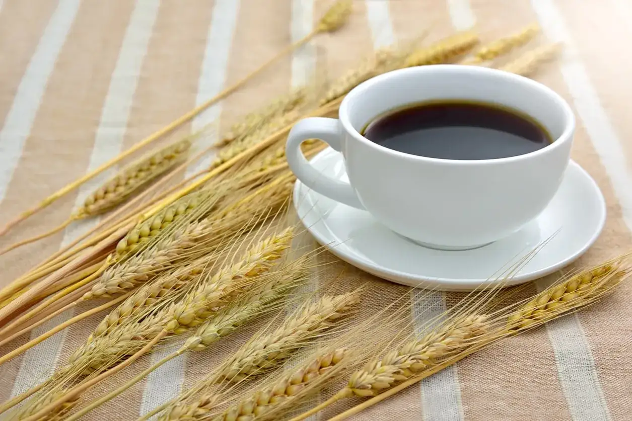 Tazza bianca di orzo café su piattino, circondata da spighe dorate su una tovaglia a righe.